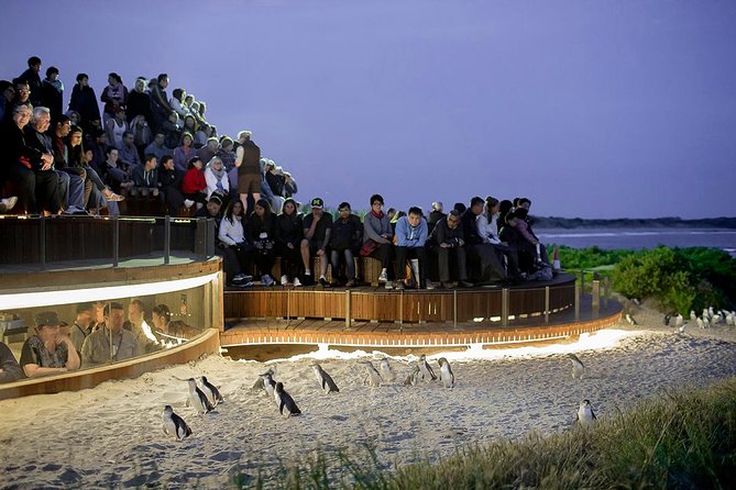 Wilsons Prom Whale Cruise - Morning tea and lunch: why eating on a 6-hour whale cruise matters