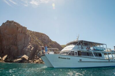 Wilsons Prom Whale Cruise - Wilsons Promontory National Park: what your guide is likely to help you notice