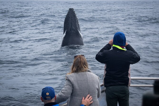 Wilsons Prom Whale Cruise - Deck comfort: the simple strategy that makes whale time better