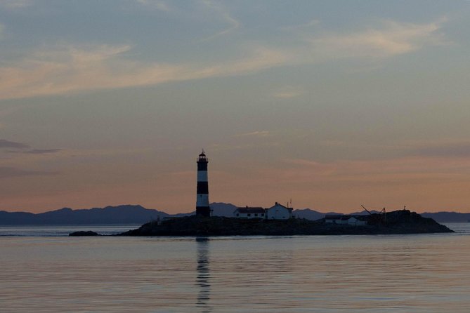 Winter Victoria Whale and Wildlife Zodiac Tour - Price and Value: What You Get for $129.32