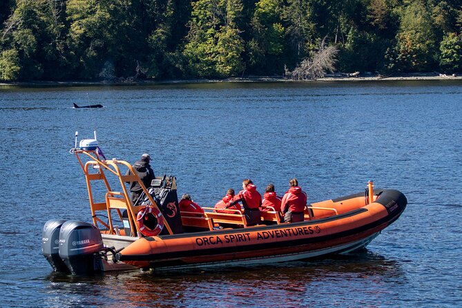 Winter Victoria Whale and Wildlife Zodiac Tour - Practical Tips for a Smoother Winter Whale Watch