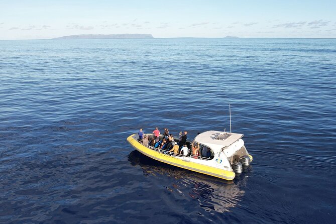 Winter Whale Watching Adventure in Kauai - Where you start in Eleele, and what to expect on arrival