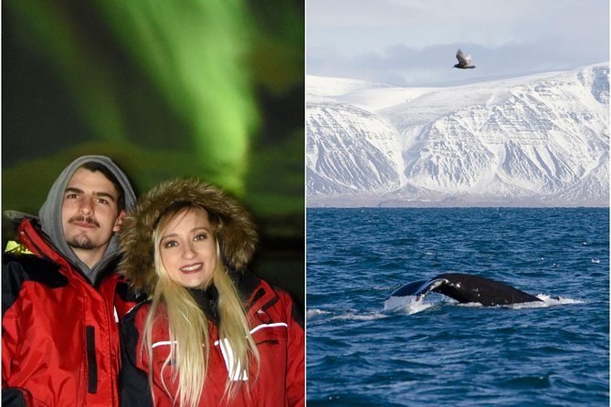 Winter Whale Watching and Northern Lights Cruise from Reykjavik - Why this Reykjavik winter combo works: whales first, aurora by night