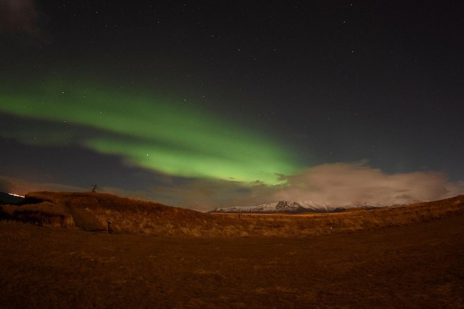 Winter Whale Watching and Northern Lights Cruise from Reykjavik - Afternoon whale watching on Elding’s ship: what you’ll do for 3 hours