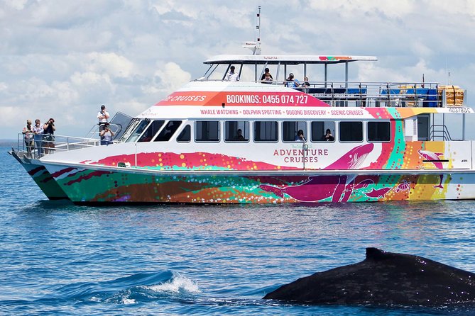 World class Whale Watching from Hervey Bay - Comfort and crowd control: how Amaroo keeps it enjoyable