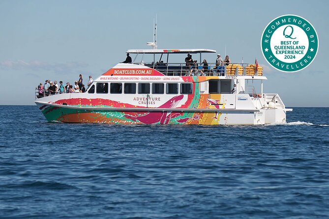 World class Whale Watching from Hervey Bay - Morning vs afternoon: picking the departure that fits your day