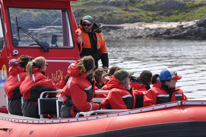 Zodiac Boat Whale and Wildlife 6-Hour Tour from Campbell River - Staying warm and dry with a provided floater suit