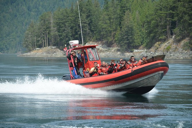 Zodiac Boat Whale and Wildlife 7-8-Hour Tour from Campbell River - Key Highlights You’ll Feel on the Day