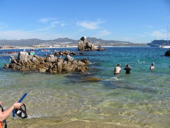 ZODIAC Whale Watch Tour | Cabo San Lucas | Biologist | FREE Pics - Key highlights to know before you go