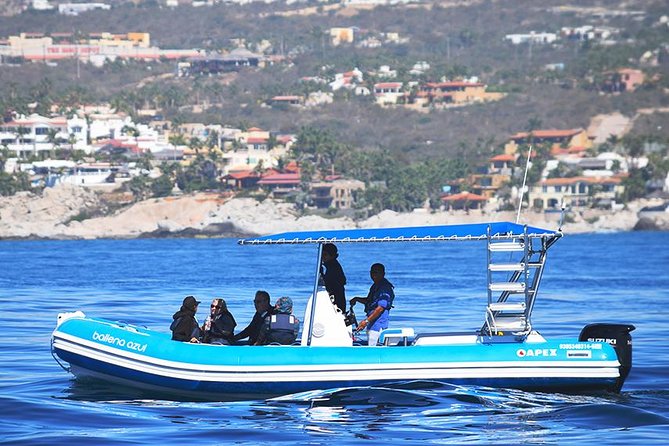 ZODIAC Whale Watch Tour | Cabo San Lucas | Biologist | FREE Pics - Price and value: what $109 buys you (and why it can be worth it)